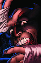 Image: Wolverine #12 - Marvel Comics